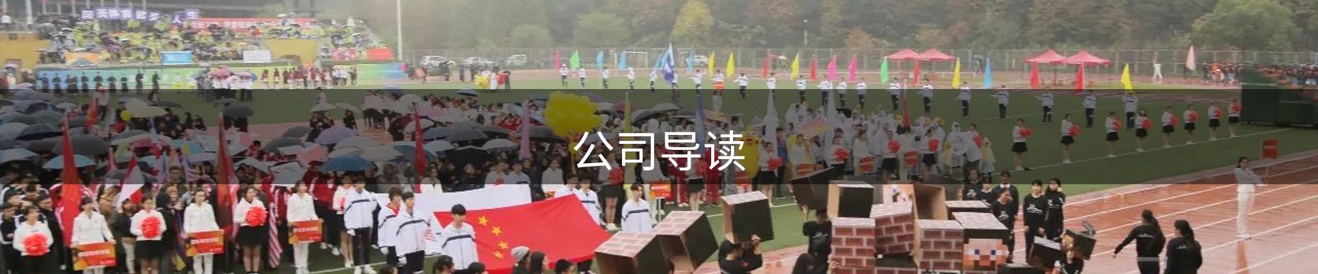 公司导读