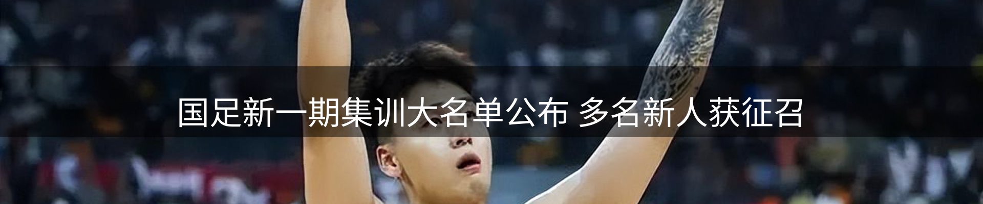 公司导读