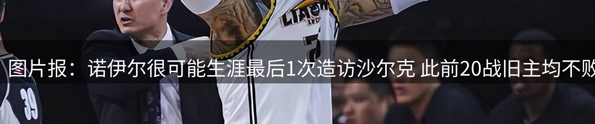 公司导读