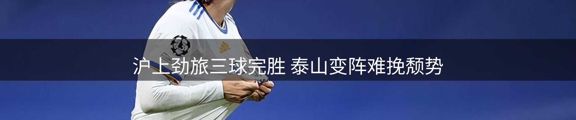 公司导读