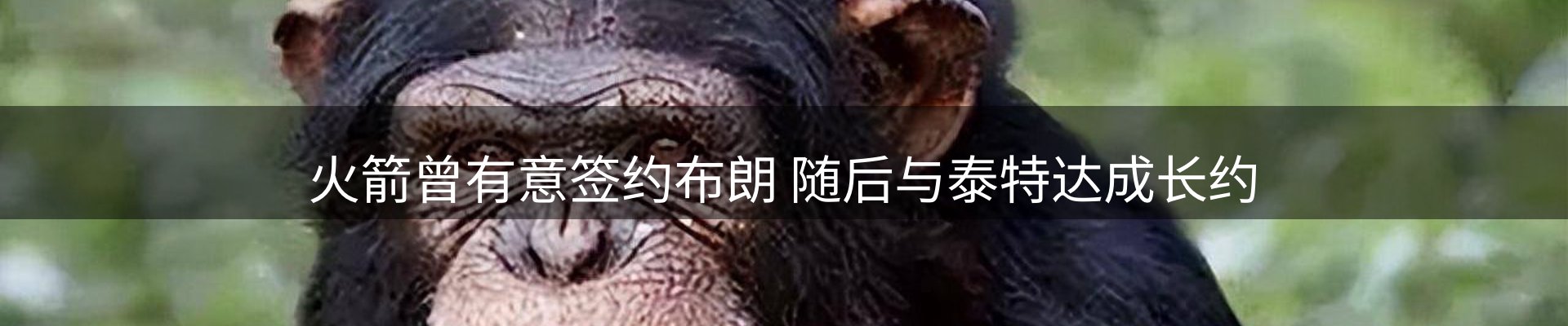 公司导读