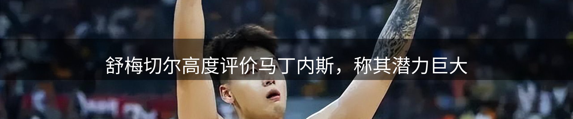 公司导读